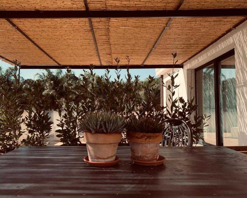 Petrasicula Apartment Aci Trezza Zewnętrze zdjęcie